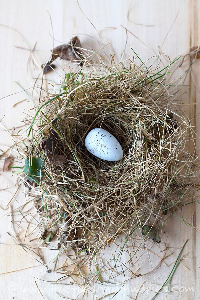 Painted Speckled Egg in Nest | Fireflies and Mud Pie