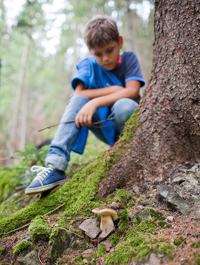 Tips for taking enjoyable nature walks with kids